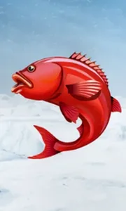 Ice Fishing